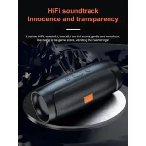 Enceinte Haut-parleur Bluetooth caisson de basse portable stéréo