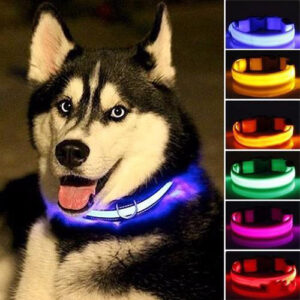 Collier Lumineux pour Chien LED Fluorescent Jaune M