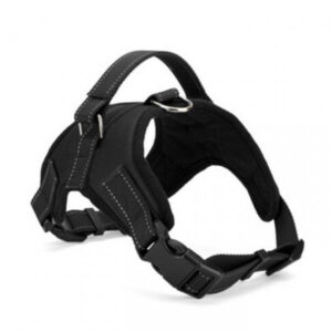 Harnais pour chien Taille M NEUF