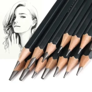 14PC Crayons de papier Outil 6H-12B Professionnel Croquis Art Dessin