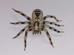 Fausse Araignée Réaliste Fake Spider Circonférence 10cm Halloween Farce Gag Prank Mygale Tarentule Arachnide