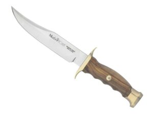 POIGNARD Dague Couteau de Chasse MUELA BOWIE OLIVIER 16CM INOX